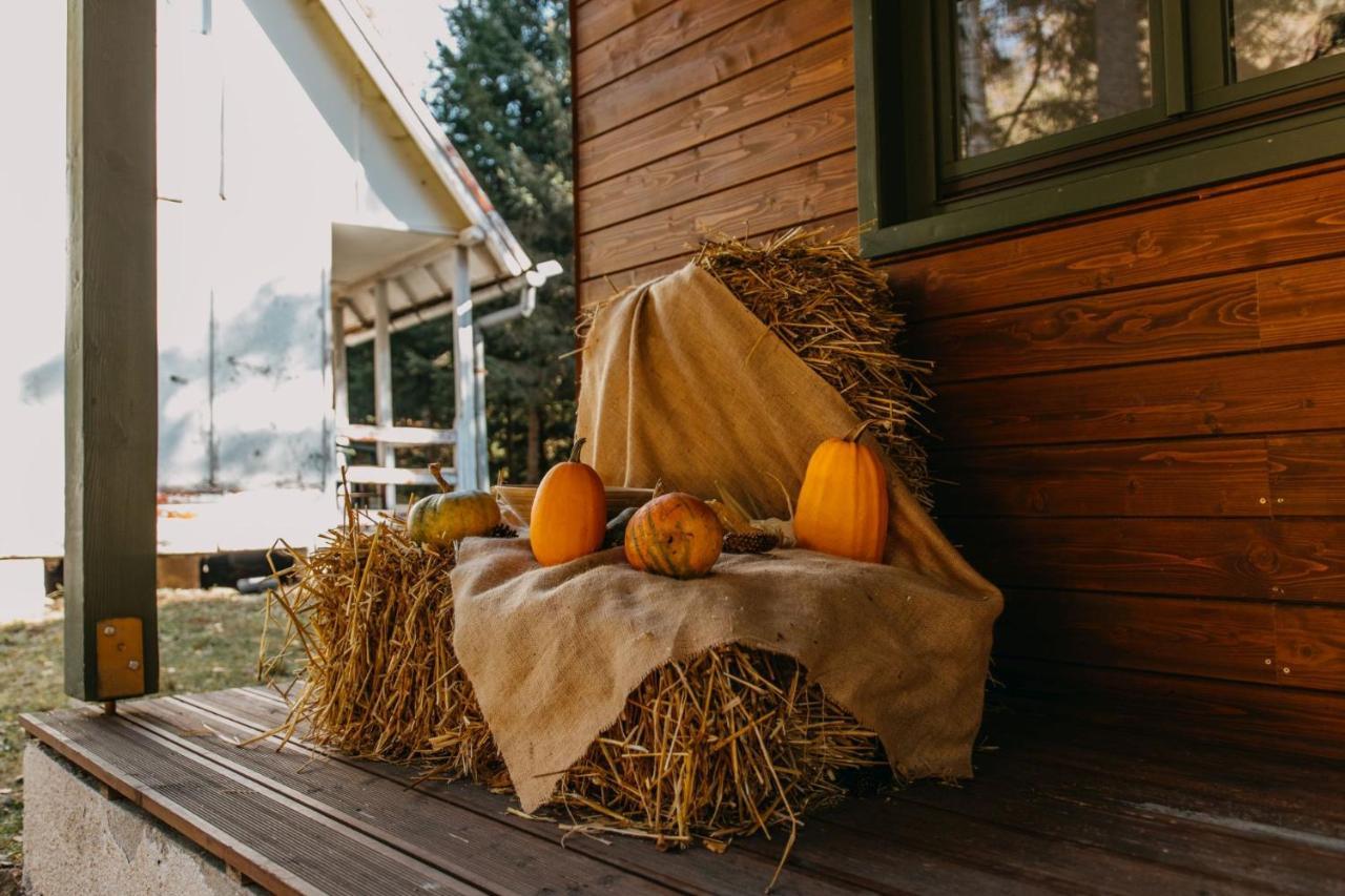 Tusnad Camping BaileTusnad Zewnętrze zdjęcie